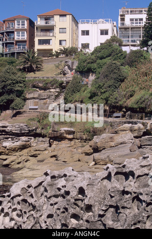 Maisons sur falaise, Bondi à Coogee célèbre promenade côtière, Sydney NSW, Australie. Banque D'Images