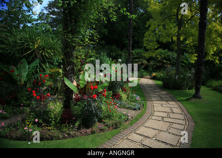 Abbotsbury Dorset UK sub-tropical Gardens Banque D'Images