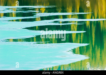 Modèle de glace sur le lac de la sauvagine au printemps, Banff National Park, Alberta, Canada. Banque D'Images