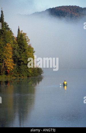 Pagaies de canoë à travers la brume du matin au début de septembre sur le lac Monroe/lac Monroe dans le Parc Provincial du Mont-Tremblant/Parc nation Banque D'Images