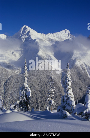 La vue depuis la crête d'Abbott en hiver le parc national des Glaciers, en Colombie-Britannique, Canada. Banque D'Images