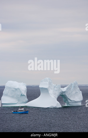 Observation d'icebergs avec Northland tours en bateau Découverte de St Anthony vu de télévision Point Lookout dans la ville d'une grande Breh Banque D'Images