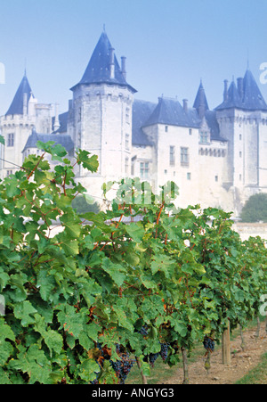 Chateau de Saumur, Saumur, Maine et Loire, Loire, France Banque D'Images