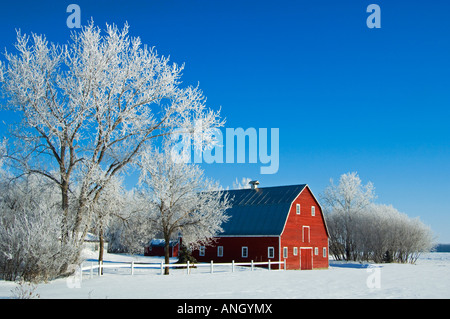 Le givre et la Grange rouge, grande pointe, au Manitoba, Canada. Banque D'Images