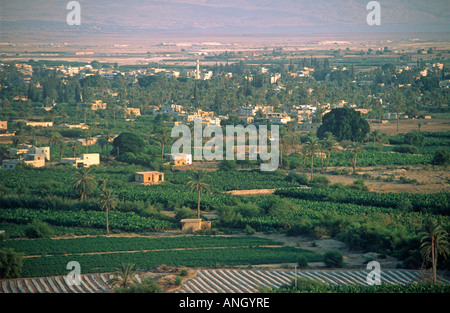 Vue sur Jéricho, Israël Banque D'Images