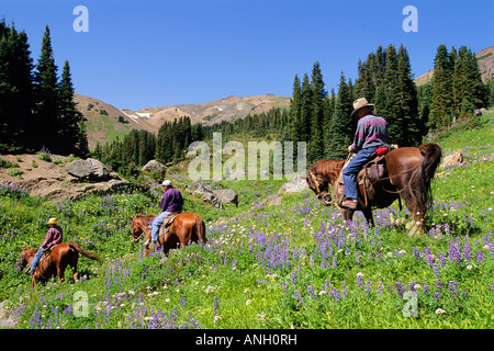 Pourvoirie randonnée, menant au sud du bassin du cinabre, gamme Chilcotin, en Colombie-Britannique, Canada. Banque D'Images