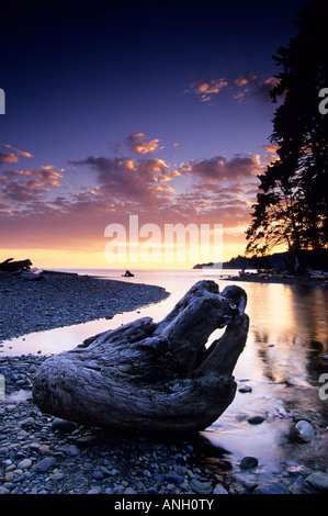 Sombrio plage au coucher du soleil, Juan de Fuca Marine Trail, l'île de Vancouver, Colombie-Britannique, Canada. Banque D'Images