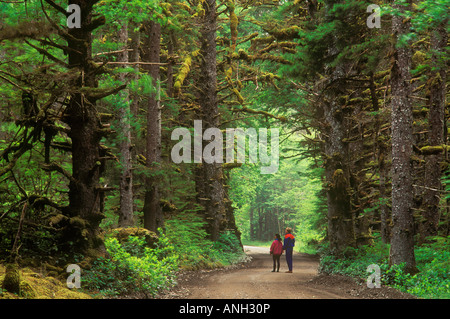 La forêt ancienne du Parc Provincial Naikoon, British Columbia, Canada. Banque D'Images