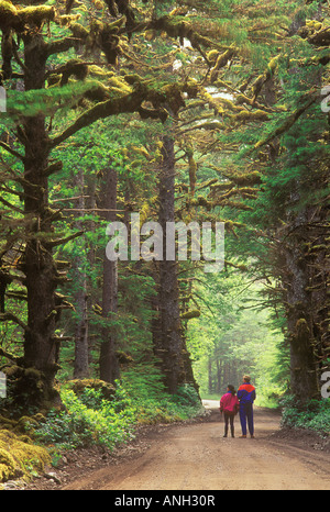 La forêt ancienne du Parc Provincial Naikoon, British Columbia, Canada. Banque D'Images