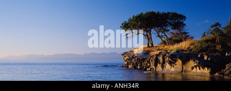 Chypre d'arbres sur l'îlot de grès près de Gabriola Island, Colombie-Britannique, Canada. Banque D'Images