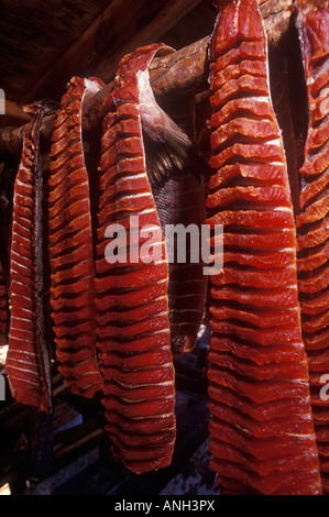 Le séchage du saumon dans les Tahltan Smoke House, Colombie-Britannique, Canada. Banque D'Images