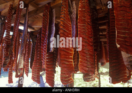 Le séchage du saumon dans les Tahltan Smoke House, Colombie-Britannique, Canada. Banque D'Images