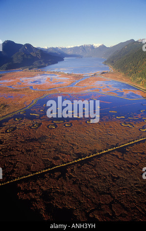 Vue aérienne de canneberges à la rivière Pitt, la vallée du Fraser, en Colombie-Britannique, Canada. Banque D'Images