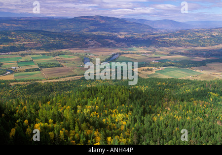 Voir d'Enderby et de la rivière Shuswap falaises Enderby, en Colombie-Britannique, Canada. Banque D'Images