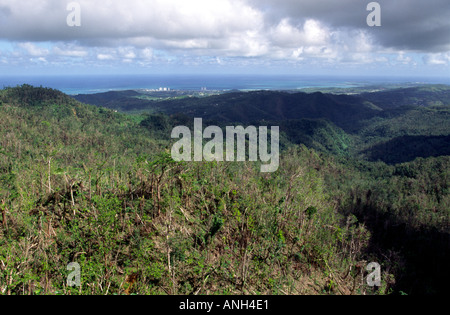 Puerto Rico el yunque rain forest Banque D'Images