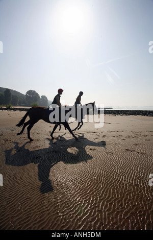 Les cavaliers sur la rive de l'Elbe, Hambourg, Allemagne Banque D'Images