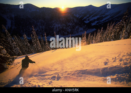 Ski Ski poudreuse fraîche dans l'arrière-pays, près de station de ski de Whitewater, près de Nelson, West Kootenays, Colombie-Britannique, Canada. Banque D'Images