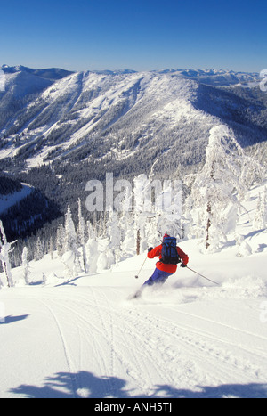 Ski skieur dans l'arrière-pays, près de station de ski de Whitewater près de Nelson dans la région de West Kootenay, Colombie-Britannique, Canada. Banque D'Images