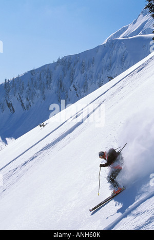 Ski Ski poudreuse fraîche dans l'arrière-pays, près de Fernie Alpine Resort, Colombie-Britannique, Canada. Banque D'Images