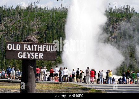 Old Faithful Geyser, Yellowstone National Park Banque D'Images