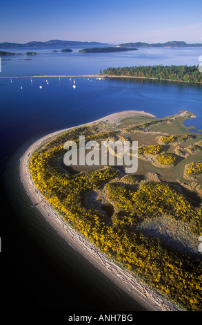 Vue aérienne de la flèche Sidney, île de Vancouver, Colombie-Britannique, Canada. Banque D'Images