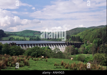 La campagne autour du lac Vyrnwy Llyn Efyrnwy et du barrage avec écoulement d'eau est une réserve RSPB. Llanwddyn Powys North Wales Royaume-Uni Grande-Bretagne Banque D'Images