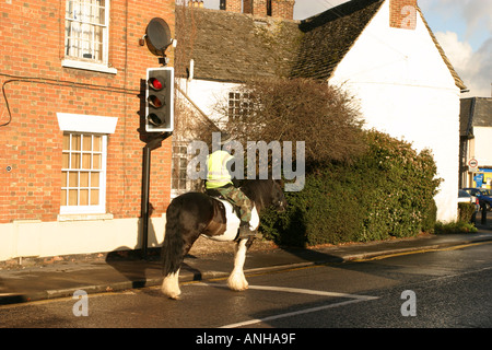 Grand Shire Horse Rider et attendre que les feux rouges sur la route principale dans le Wiltshire Highworth Banque D'Images