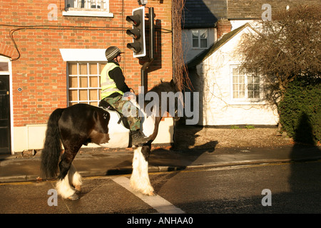 Grand Shire Horse Rider et attendre que les feux rouges sur la route principale dans le Wiltshire Highworth Banque D'Images