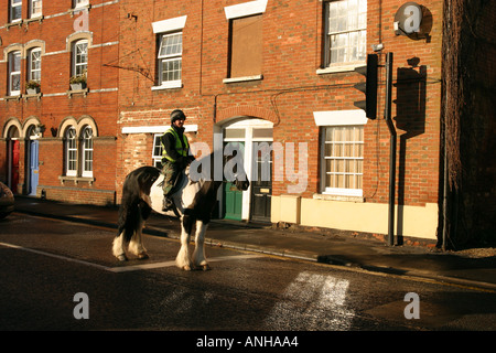 Grand Shire Horse Rider et attendre que les feux rouges sur la route principale dans le Wiltshire Highworth Banque D'Images