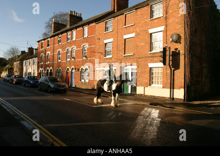 Grand Shire Horse Rider et attendre que les feux rouges sur la route principale dans le Wiltshire Highworth Banque D'Images