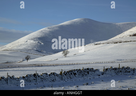 Couvert de neige en hiver Pentland Hills avec deux arbres et mur de pierre en foregound, Midlothian, Ecosse, Royaume-Uni, Europe Banque D'Images