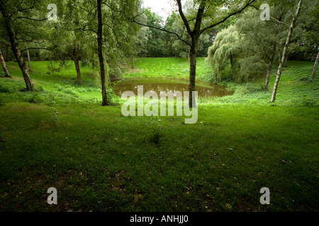 300 pieds de large cratère Caterpillar d'une mine, à Colline 60 1917 près d'Ypres en Belgique Banque D'Images