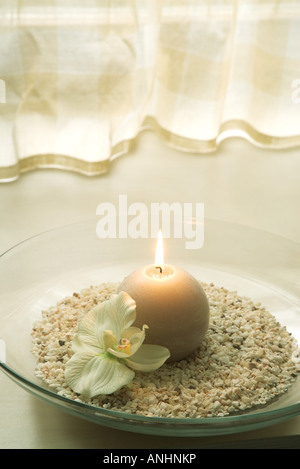 Close-up of burning candle dans un bol à côté d'orchidée, fleur Banque D'Images