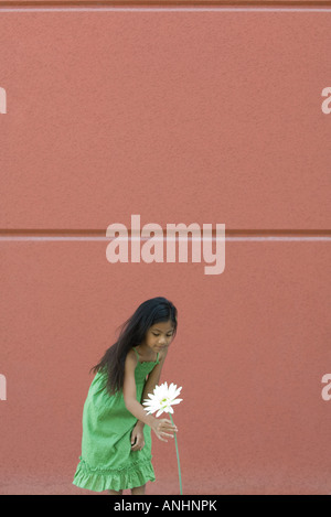 Jeune fille se pencher pour ramasser des fleurs hautes Banque D'Images