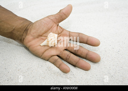 Hand holding seashell, close-up Banque D'Images