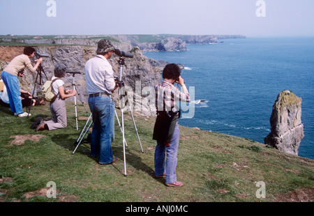 Les ornithologues amateurs sur la côte de Pembrokeshire, Pays de Galles du Sud, UK Banque D'Images