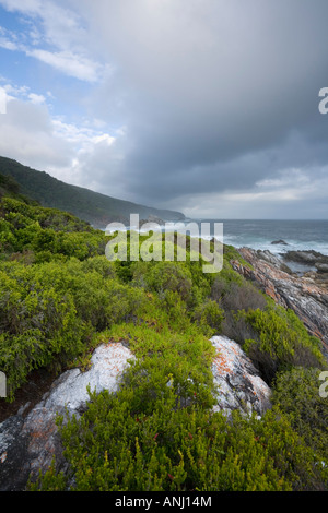 Le parc national de Tsitsikamma sur la Garden Route en Afrique du Sud Banque D'Images