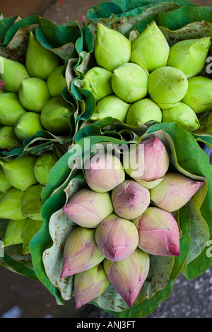 Tonne de Lamai Marché aux Fleurs Chiang Mai Thaïlande Banque D'Images