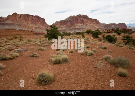 Rocher de grès rouge impressionnant Visages dans Capitol Reef National Park, Utah, USA Banque D'Images