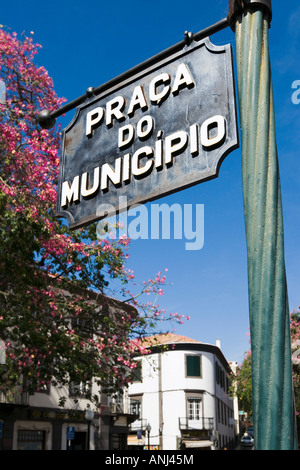 Praca Do Municipio, Funchal, Madeira, Portugal Banque D'Images