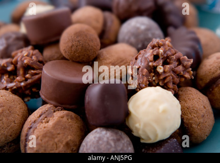 Chocolats Assortis Banque D'Images