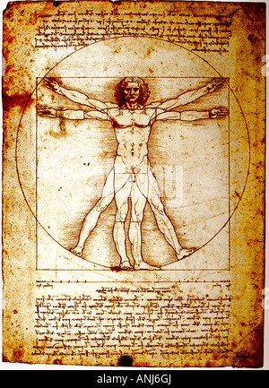 Homme de Vitruve par Leonardo da Vinci Banque D'Images