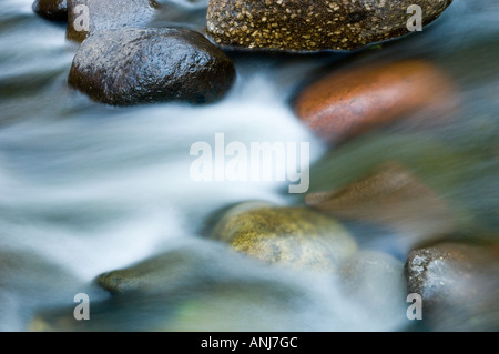 L'EAU QUI COULE SUR LES ROCHES EN MOUVEMENT SUR LA RIVIÈRE CASCADE LE NORD DU MINNESOTA Banque D'Images