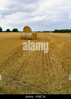 Ballots de foin dans un champ de maïs coupé, près de Woolsthorpe dans le Leicestershire, UK Banque D'Images