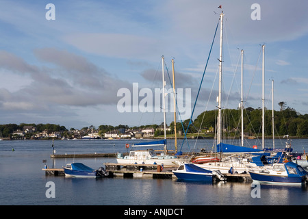 Royaume-uni Irlande du Nord County Down Portaferry bateaux amarrés sur le Strangford Lough nouvelle marina Banque D'Images