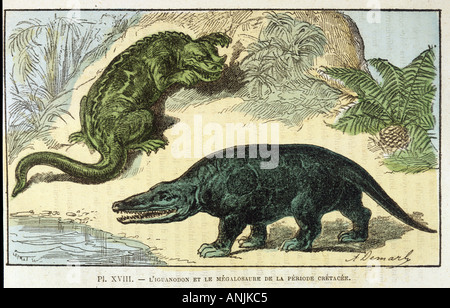 Dinosaure Iguanodon Banque D'Images