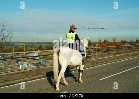 Horse Rider sur pont routier sur l'autoroute le port de gilet de sécurité haute visibilité avec message col large et haute visibilité lente viz Essex England UK Banque D'Images