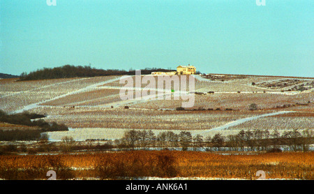 Dans la région de Tokaj : une vue sur l'Pajzos wine estate près de Tolcsva. Oremus est administré par la famille Alvarez qui est également propriétaire de Vega Sicilia Banque D'Images