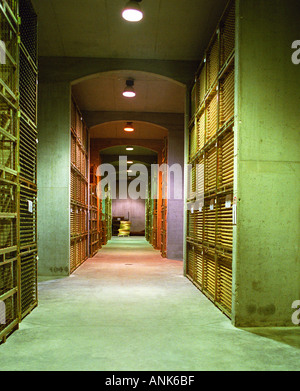 L'Oremus winery à Tolcsva, Tokaj : le vieillissement en bouteille cave avec des milliers et des milliers de bouteilles empilées dans des cages métalliques. Banque D'Images