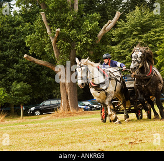 Hatfield pays montrent l'Angleterre Banque D'Images